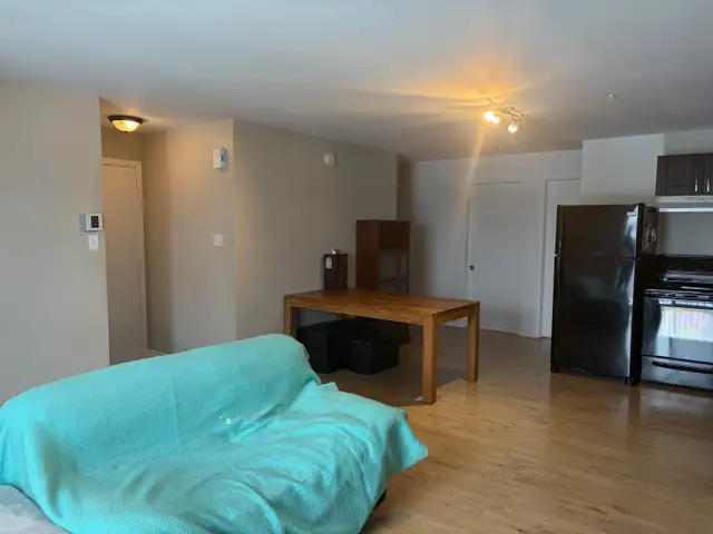 Superbe beau grand 4 1/2, secteur St-Émile, juillet - Photo 4