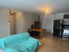 Superbe beau grand 4 1/2, secteur St-Émile, juillet - Photo 4