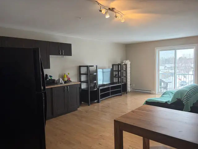 Superbe beau grand 4 1/2, secteur St-Émile, juillet - Photo 5