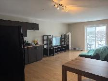 Superbe beau grand 4 1/2, secteur St-Émile, juillet - Photo 5