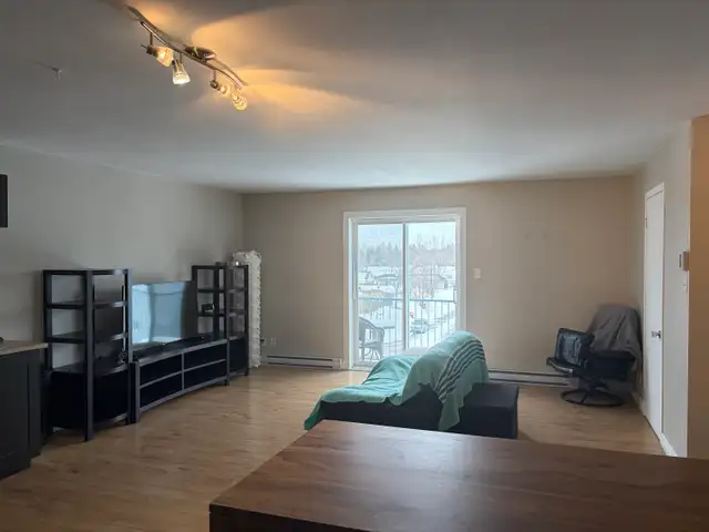 Superbe beau grand 4 1/2, secteur St-Émile, juillet - Photo 6