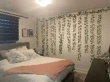 Superbe 4 1/2, 2e étage Limoilou juillet - Photo 9