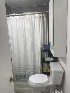 Superbe 4 1/2, 2e étage Limoilou juillet - Photo 12