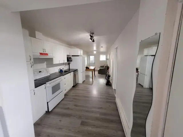 Très beau 4 1/2, Limoilou, demi sous-sol Rénové JUILLET - Photo 3