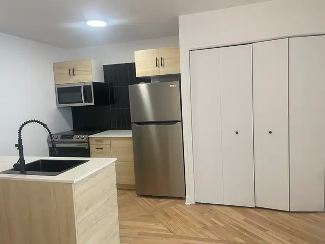 Superbe 4 1/2, 2e étage Rénové à neuf, centre-ville