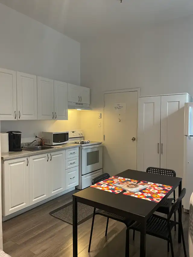Superbe loft 1 1/2, rez de chaussé, meublé WIFI - Photo 3