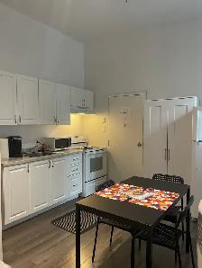 Superbe loft 1 1/2, rez de chaussé, meublé WIFI - Photo 3