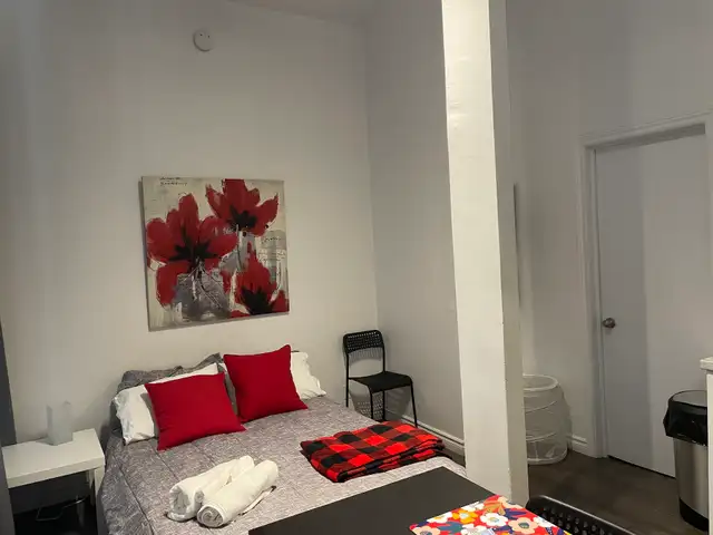 Superbe loft 1 1/2, rez de chaussé, meublé WIFI - Photo 4