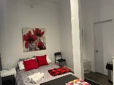 Superbe loft 1 1/2, rez de chaussé, meublé WIFI - Photo 4