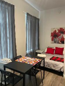 Superbe loft 1 1/2, rez de chaussé, meublé WIFI - Photo 5