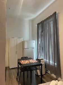 Superbe loft 1 1/2, rez de chaussé, meublé WIFI - Photo 6