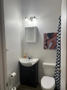 Superbe loft 1 1/2, rez de chaussé, meublé WIFI - Photo 7