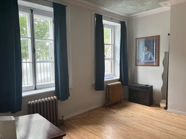 Très beau grand 3 1/2, Vieux-Port Libre MEUBLÉ - Photo 13