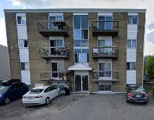 Beau grand 4 1/2, Beauport, Wifi Juillet