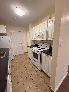 FULL RENO 2-Level Apt - Unit 207 - Clayton Park - June 1st - Photo 7