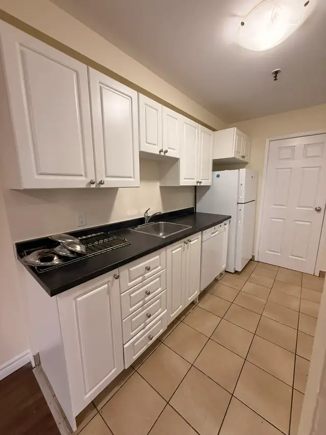 FULL RENO 2-Level Apt - Unit 207 - Clayton Park - June 1st - Photo 10