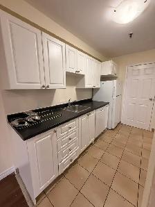 FULL RENO 2-Level Apt - Unit 207 - Clayton Park - June 1st - Photo 10