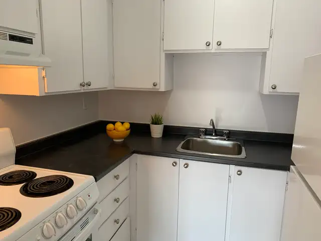 studio,studio à louer, for rent, Saint-Laurent, St-laurent - Photo 3
