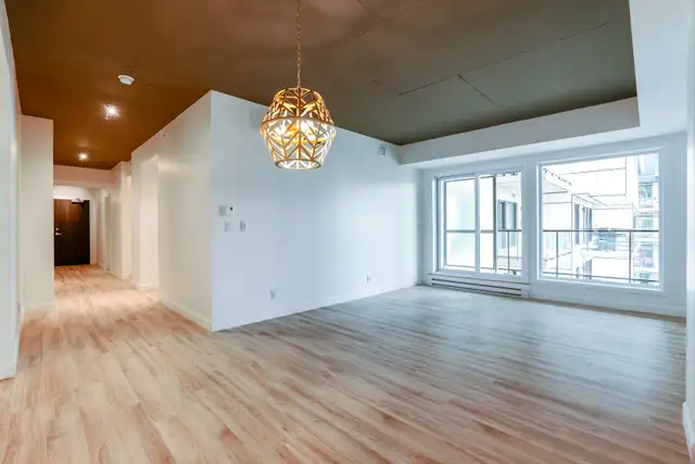 31/2,41/2,1,2,chambres,bedrooms,louer,rent,Saint-Augustin - Photo 2