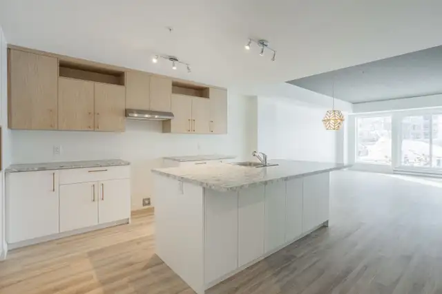 31/2,41/2,1,2,chambres,bedrooms,louer,rent,Saint-Augustin - Photo 9