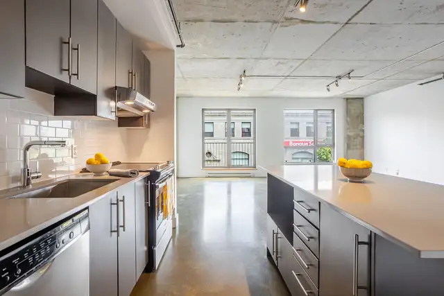 3.5,Loft, 1 chambre, à louer, rent,Plateau,mont-royal, Mile-End