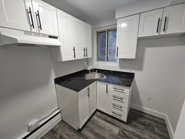 4.5, 2chambres, bderooms, à louer, rent, Villeray, Montreal - Photo 2