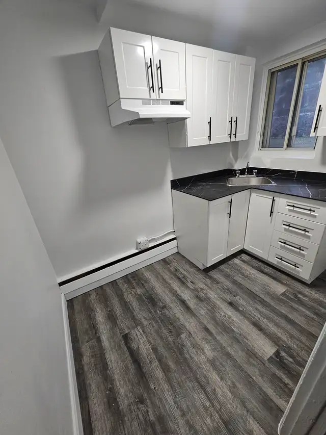 4.5, 2chambres, bderooms, à louer, rent, Villeray, Montreal - Photo 3