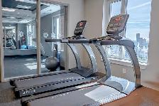 Hintonburg Connection: Extra Large 2-Bedroom Apartment - Photo 11