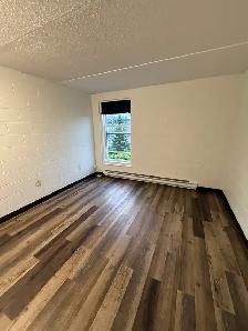 RENOVATED - BACHELOR UNITS - Photo 2