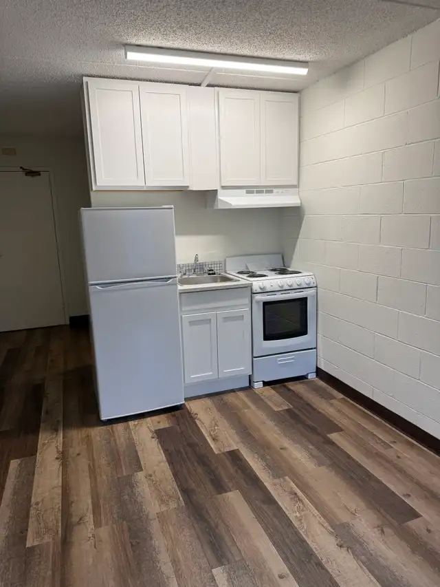 RENOVATED - BACHELOR UNITS - Photo 3