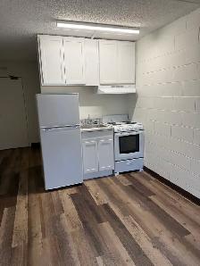 RENOVATED - BACHELOR UNITS - Photo 3