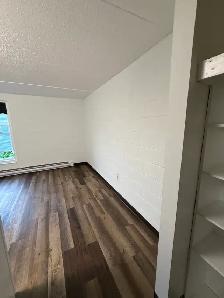 RENOVATED - BACHELOR UNITS - Photo 4