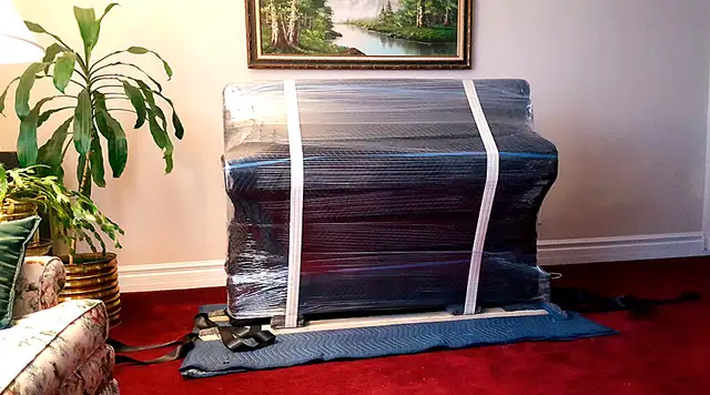 Moving Service Toronto – Furniture, Apartment, Junk - Photo 4