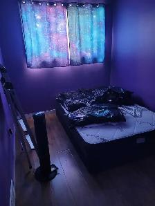 5 BR Full House - Whitehorn - Avail Apr 30 - Photo 5