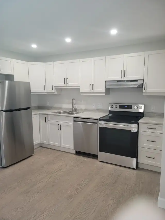 BRAND NEW & NEWLY RENOVATED APARTMENTS - Photo 2