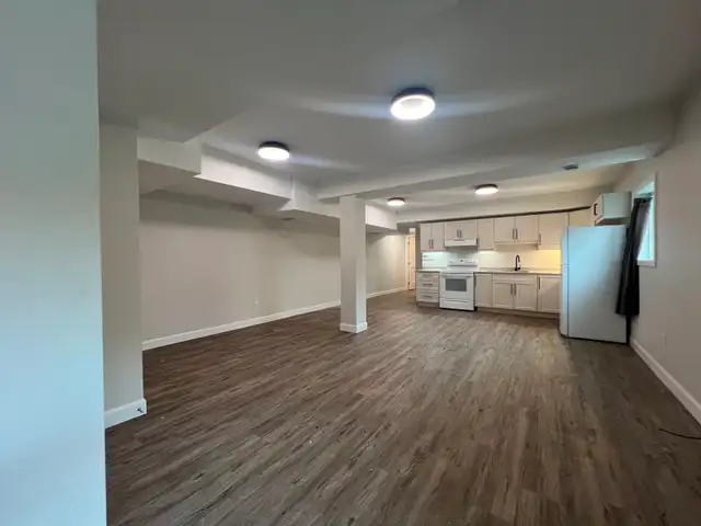 BRAND NEW & NEWLY RENOVATED APARTMENTS - Photo 10