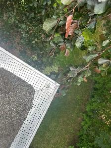 Window Cleaning | Gutter / Eavestrough cleaning- discounts! - Photo 7