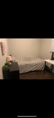 Close to Seneca College - Photo 5