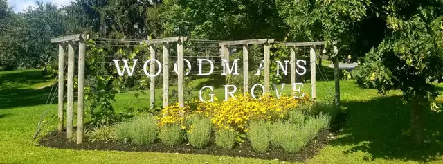 Construction Site – General Light Cleaner