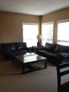Luxury condo, fully furnished, 2-bedroom downtown