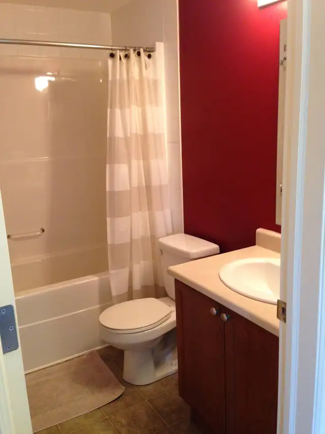 Luxury condo, fully furnished, 2-bedroom downtown - Photo 6