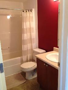 Luxury condo, fully furnished, 2-bedroom downtown - Photo 6