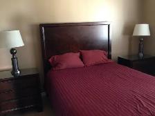 Luxury condo, fully furnished, 2-bedroom downtown - Photo 8