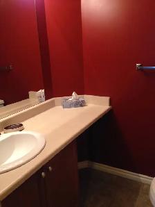 Luxury condo, fully furnished, 2-bedroom downtown - Photo 9