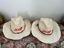 2- Summer Straw Hats
