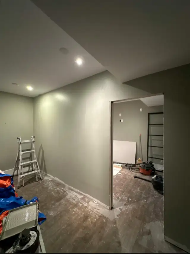 Need work please(general labour, demo, painting) - Photo 3