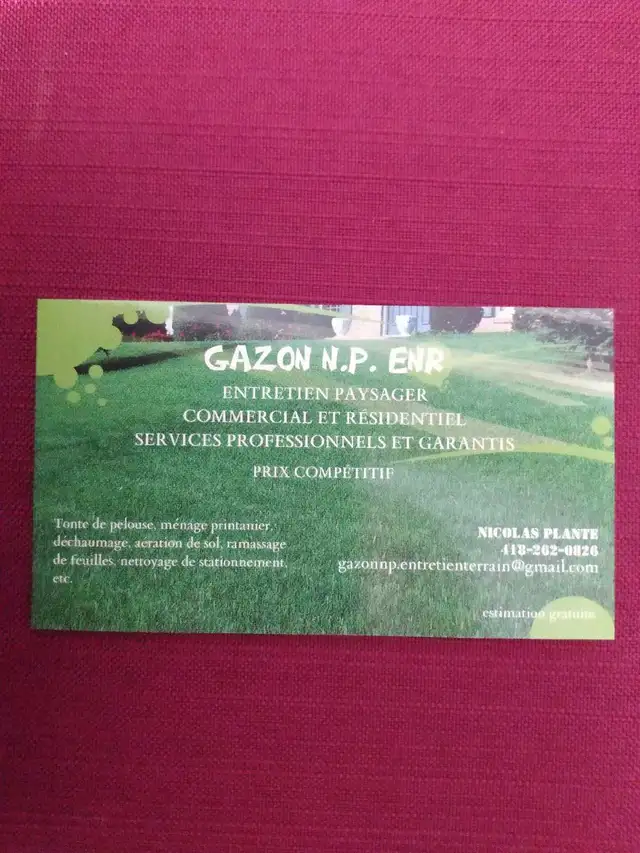 ENTRETIEN TERRAIN, TONTE DE PELOUSE