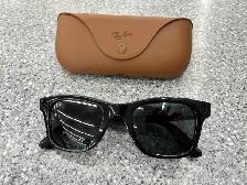 Rayban Meta Glasses RW4006