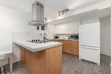 Logement 4 1/2, secteur St-Hubert (Longueuil) - 1er juillet - Photo 3