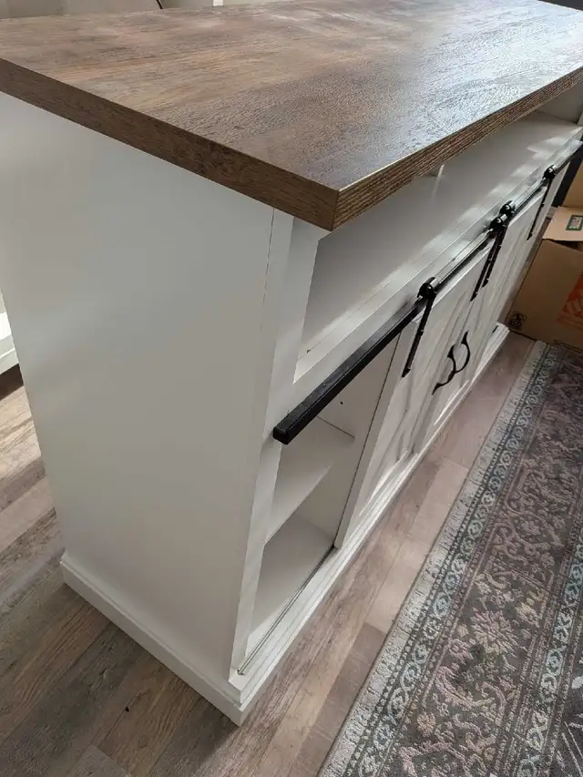 Tv Console with barn doors - Photo 2